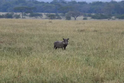 DSC_4060 (Large).JPG